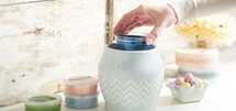 Scenterpiece Melt Cup