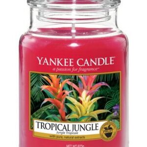 Yankee Candle Tropical Jungle Housewarmer 623