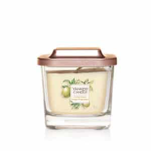 Citrus Grove Elevation Small Vessel