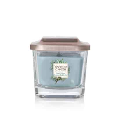 Coastal Cypress Elevation Small Vessel