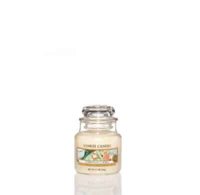 Christmas Cookie Yankee Candle Glas klein