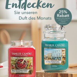 Yankee Candle Abonnement Monatsduft