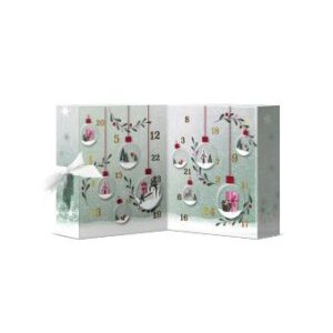 Adventskalender 2022 Snow Globe Wonderland Premium Book
