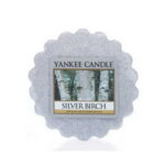 yankee candle silver birch