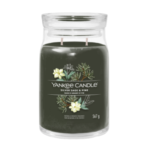 Yankee Candle Silver Sage & Pine Signature