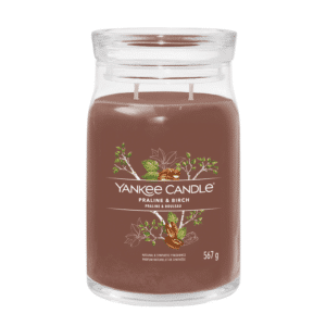 Yankee Candle Praline & Birch