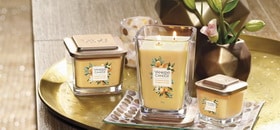 Yankee Candle Elevation